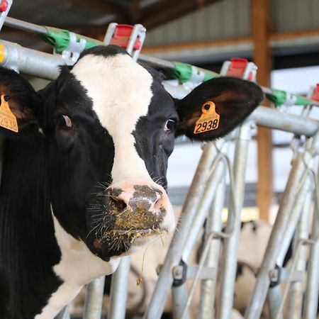 Le Thuit - F2 Plain Pied Tout Equipe A La Ferme Charleval  Extérieur photo